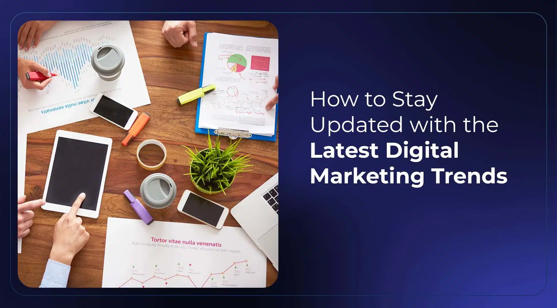 How to Stay Updated with the Latest Digital Marketing Trends